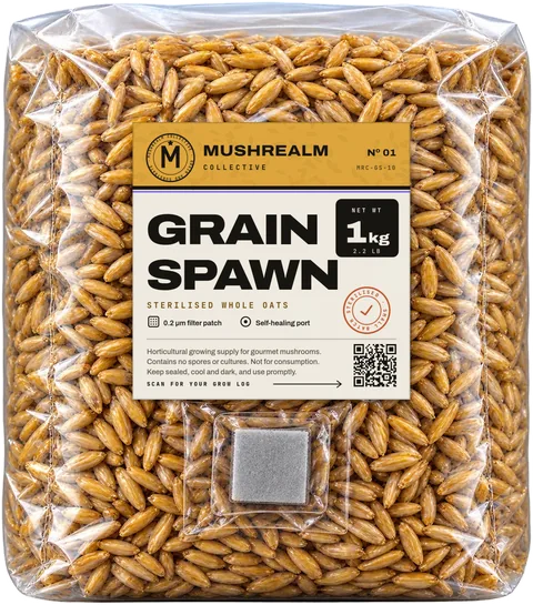 Sterilised oats grain spawn bag, 1 kg